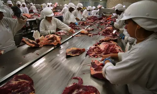 മാംസ അഴിമതിയില് ഉള്പ്പെട്ടവര്ക്ക് കഠിന ശിക്ഷ നല്കണമെന്ന് ബ്രസീലിനോട് ചൈന മാംസ അഴിമതിയില് ഉള്പ്പെട്ടവര്ക്ക് കഠിന ശിക്ഷ നല്കണമെന്ന് ബ്രസീലിനോട് ചൈന