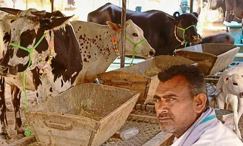 ഗോരക്ഷകര്‍ അടിച്ച് കൊന്ന പെഹ്‍ലുഖാന്‍റെ കുടുംബാംഗങ്ങള്‍ നീതി തേടി ഡല്‍ഹിയില്‍