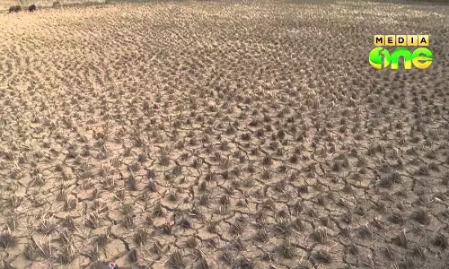 വേനല്‍ കനത്തു; നിര്‍ജലീകരണം മൂലമുള്ള മരണവും