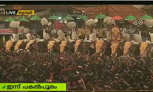 ഉപചാരം ചൊല്ലി പിരിഞ്ഞു; പൂരത്തിന് സമാപനം