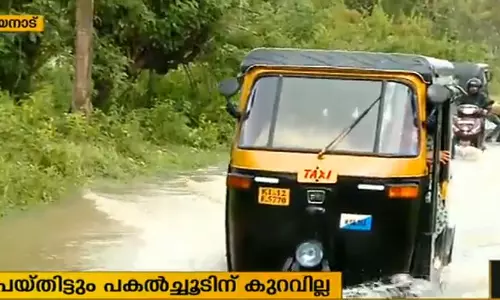 ചൂടിന് ആശ്വാസമായി വയനാട്ടില്‍ വേനല്‍ മഴ