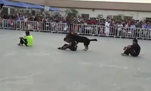 മയക്കു മരുന്നു മുതല്‍ സ്‌ഫോടക വസ്തുക്കള്‍ വരെ കണ്ടെത്തുന്ന ഖത്തറിന്റെ പൊലീസ് നായ്ക്കള്‍