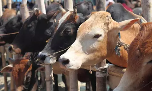 കശാപ്പിന് നിയന്ത്രണമേര്‍പ്പെടുത്തിയിട്ടില്ലെന്ന് ജെയ്റ്റ്ലി