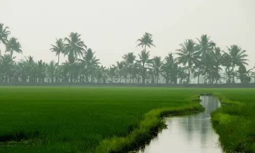 കുട്ടനാട് പാക്കേജിന്റെ രണ്ടാം ഘട്ടത്തിന് സമഗ്രപദ്ധതി തയ്യാറാക്കാന്‍ നിര്‍ദ്ദേശം
