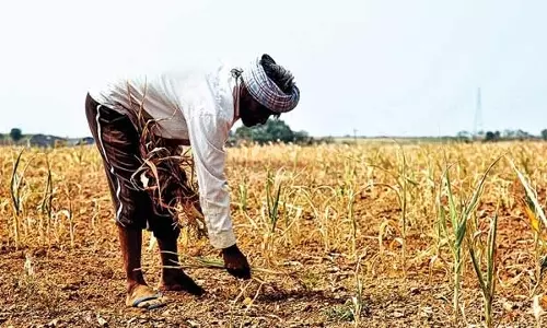 കടങ്ങള്‍ തിരിച്ചടക്കാന്‍ കര്‍ഷകര്‍ക്ക് സഹായവുമായി കേന്ദ്രം