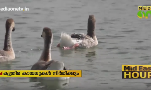 വിവിധ ഭാഗങ്ങളിൽ കൃത്രിമ കായലുകൾ നിർമിക്കാനൊരുങ്ങി കുവൈത്ത്