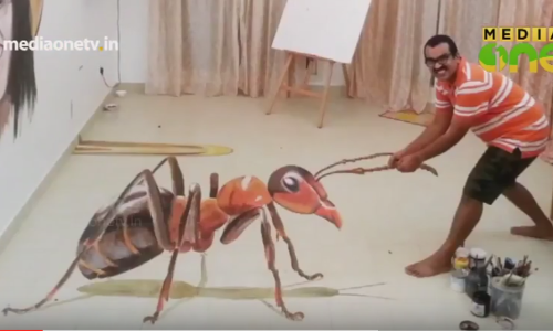 ത്രിമാന ചിത്രകലയില്‍ അത്ഭുതങ്ങള്‍ സൃഷ്ടിച്ച് പ്രവാസി ദമ്പതികള്‍