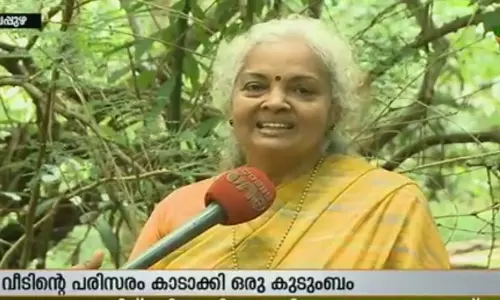 വെട്ടിനിരത്തിയില്ല, മരം വെച്ചുപിടിച്ച് വീട്ടുമുറ്റത്ത് കാടൊരുക്കി ഇവിടെ ഒരു കുടുംബം