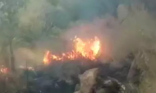 തേനി കാട്ടുതീ: 9 പേര് മരിച്ചു; 27 പേരെ രക്ഷപ്പെടുത്തി തേനി കാട്ടുതീ: 9 പേര് മരിച്ചു; 27 പേരെ രക്ഷപ്പെടുത്തി