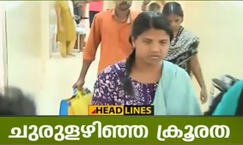 അവിഹിതബന്ധത്തിന് തടസം നിന്നതാണ് കൊലക്ക് കാരണമെന്ന് സൌമ്യയുടെ മൊഴി