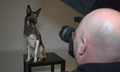 സ്പെയിനിലെ തെരുവ് നായകളുടെ ഫോട്ടോഗ്രാഫര്‍