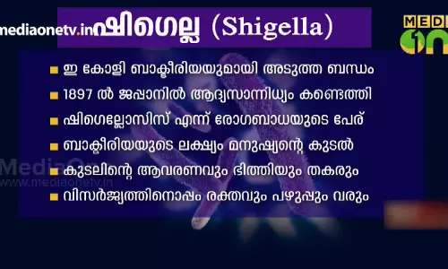 News Theatre  23-07-18