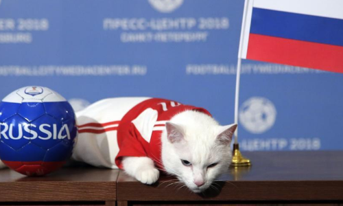 ഉദ്ഘാടന മത്സരത്തില്‍ ആര് ജയിക്കും? ആഷില്ലസ് പൂച്ചയുടെ പ്രവചനമെത്തി    