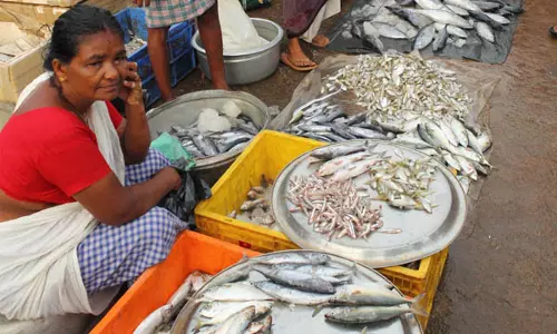 ഫോര്‍മാലിന്‍ കലര്‍ത്തിയ മീന്‍ അയക്കേണ്ടതില്ലെന്ന് ആന്ധ്രാപ്രദേശിലെ വ്യാപാരികളോട് കേരളത്തിലെ  മത്സ്യവ്യാപാരികള്‍