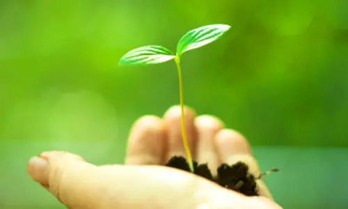 പരിസ്ഥിതി സംരക്ഷണത്തിന് പുത്തന്‍ മാതൃകയുമായി ഒരു സ്കൂള്‍