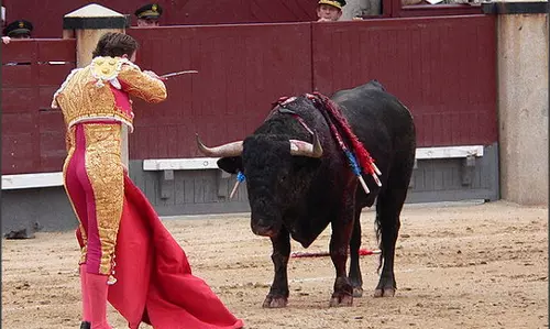 സ്പെയിനില്‍ കാളപ്പോരിനെതിരെ മൃഗസ്നേഹികളുടെ കൂട്ടായ്മ