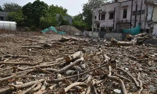 സൌത്ത് ഡല്‍ഹിയിലെ മരം മുറിക്കലിന് അനുമതി നല്‍കിയതാര്? ഡല്‍ഹിയില്‍ കേന്ദ്ര-സംസ്ഥാനസര്‍ക്കാരുകള്‍ തമ്മില്‍ പുതിയ തര്‍ക്കം