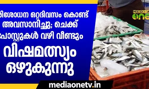 പരിശോധന ഒറ്റദിവസം കൊണ്ട് അവസാനിച്ചു; ചെക്ക് പോസ്റ്റുകള്‍ വഴി വീണ്ടും വിഷമത്സ്യം ഒഴുകുന്നു