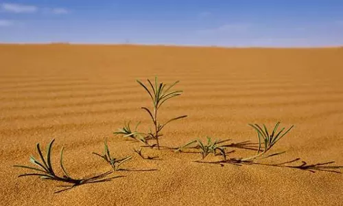 അഞ്ചുദിവസം മുമ്പുതന്നെ കാലാവസ്ഥ മാറ്റങ്ങള്‍ അറിയാം; സൌദിക്ക് അതിനിനി ‘മതിര്‍’ മതി 