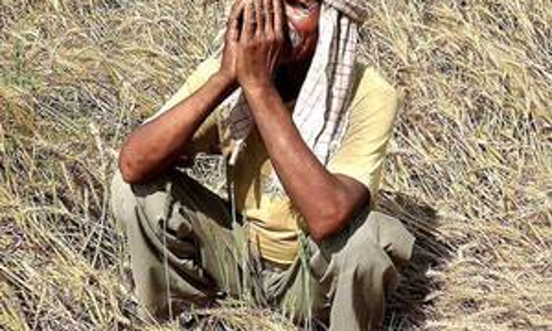 മഹാരാഷ്ട്രയില്‍ 3 മാസത്തിനുള്ളില്‍  639 കര്‍ഷക ആത്മഹത്യകള്‍