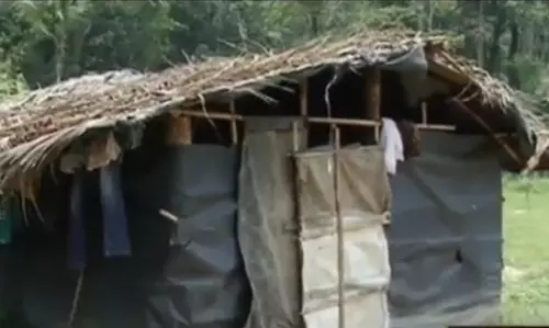 നേര്യമംഗലത്ത് ആദിവാസികള്‍ക്ക് അനുവദിച്ച പട്ടയഭൂമിയിൽ ദുരിത ജീവിതം