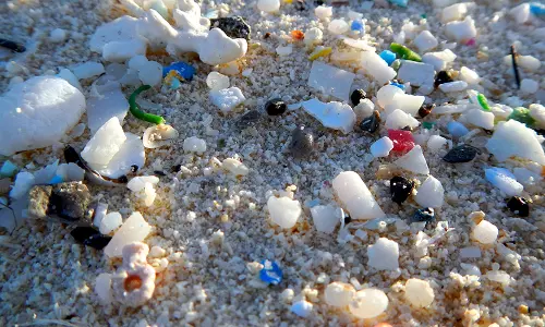കേരളത്തിലെ കടല്‍ത്തീരങ്ങളില്‍ മൈക്രോപ്ലാസ്റ്റികിന്റെ അളവ് കൂടുന്നു