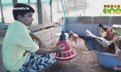 പാലേരിയിലെ ‘കുട്ടി മുതലാളി’; പക്ഷിവളര്‍ത്തലിലൂടെ ആയിരങ്ങള്‍ കൊയ്യുന്ന ആറാം ക്ലാസുകാരന്‍