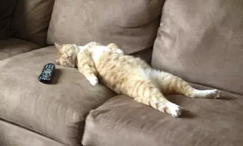 മടിപിടിച്ച രാജ്യങ്ങളുടെ പട്ടികയിൽ ഇന്ത്യക്ക് 117ാം സ്ഥാനം