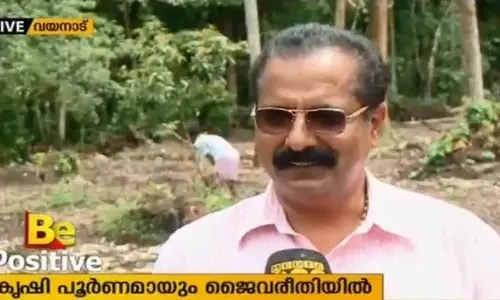 വാണിജ്യാടിസ്ഥാനത്തില്‍ പ്ലാവ് കൃഷിയുമായി കര്‍ഷകന്‍