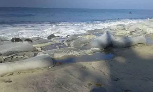 കടലിപ്പോഴും ആര്‍ത്തലച്ചെത്തുകയാണ്; ചെല്ലാനത്തുകാരെ ജിയോബാഗും ചതിച്ചു