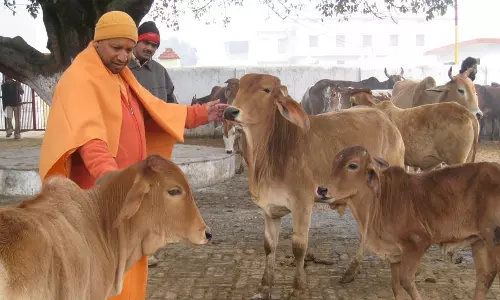 മനുഷ്യരെ പോലെ പശുക്കള്‍ക്കും പ്രാധാന്യമുണ്ട്: യോഗി ആദിത്യനാഥ്