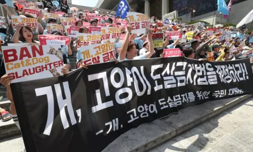 പട്ടിയിറച്ചി കഴിക്കരുതേ; നായകളെ ദത്തെടുക്കണമെന്നാവശ്യപ്പെട്ട് ദക്ഷിണ കൊറിയയില്‍ പ്രചരണം