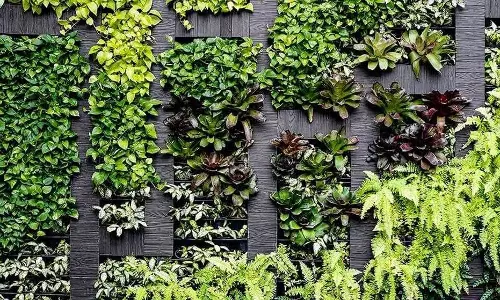 വീടിന്റെ ചുവരുകളും അകത്തളങ്ങളും ഉദ്യാനമാക്കാം; വെര്‍ട്ടിക്കല്‍ ഗാര്‍ഡനിംഗുമായി ഗോകുല്‍