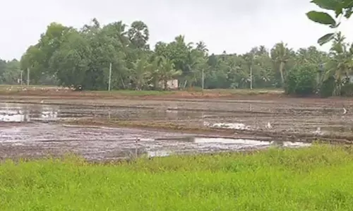 കുട്ടനാട്ടില്‍ വന്‍കൃഷിനാശം; കോട്ടയത്ത് 34.42 കോടിയുടെ നാശനഷ്ടം 