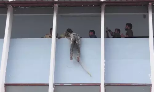 ഇത് ദൈവത്തിന്‍റെ കൈത്താങ്ങ്... 