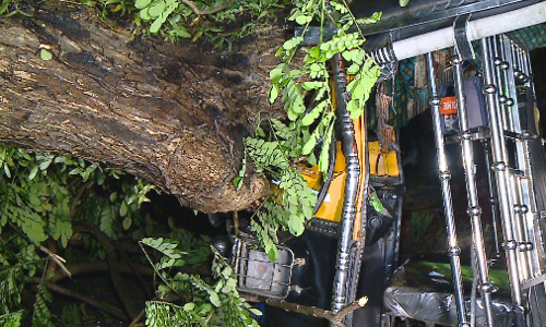 കുമ്മനം രക്ഷപ്പെട്ടത് തലനാരിഴക്ക്; കോഴിക്കോട് പാളയത്ത് വന്‍മരം കടപുഴകി വീണു