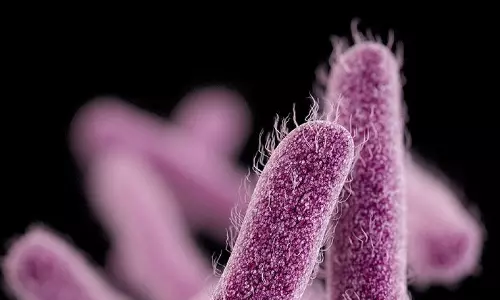 കോഴിക്കോട് രണ്ട് കുട്ടികള്‍ക്ക് ഷിഗെല്ല ബാധ സ്ഥിരീകരിച്ചു