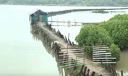 ചെമ്മീന്‍കൃഷിയുടെ മറവില്‍ പുഴ കയ്യേറി വന്‍കിടക്കാര്‍; ഉപജീവനം നഷ്ടപ്പെട്ട് ഒരു ജനത