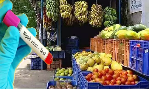 നിരോധനം നീങ്ങി; കേരളത്തില് നിന്ന് പഴങ്ങളും പച്ചക്കറികളും ഖത്തറിലേക്ക് നിരോധനം നീങ്ങി; കേരളത്തില് നിന്ന് പഴങ്ങളും പച്ചക്കറികളും ഖത്തറിലേക്ക്