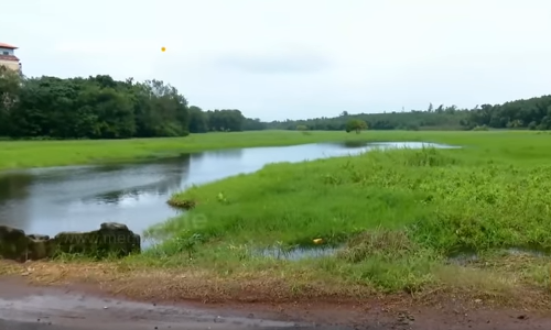 തുമ്പിച്ചാല്‍ വെറുമൊരു ചാലല്ല; ഒരുനാടിന്റെ നീര്‍ച്ചാലാണത്