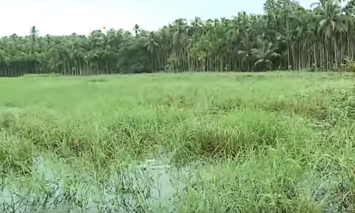 News Theatre |25-07-18| കീഴാറ്റൂർ ദേശീയപാതയുടെ അലൈൻമെന്റ് മാറ്റില്ല  