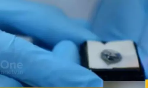 രണ്ട് കോടി ഡോളറിന്റെ അപൂര്‍വ രത്നം; ദുബൈ പൊലീസ് പിടികൂടി 