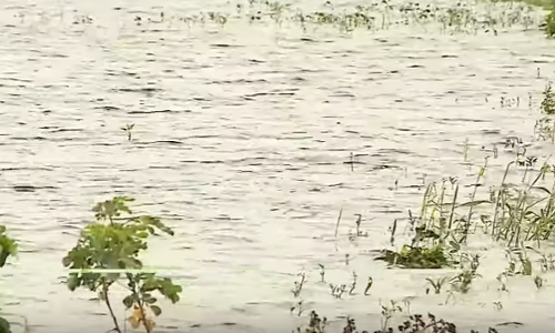 കൃഷിയിറക്കിയാലും ഇല്ലെങ്കിലും ഈ ജനതയ്ക്ക് ബാക്കി കടം മാത്രം