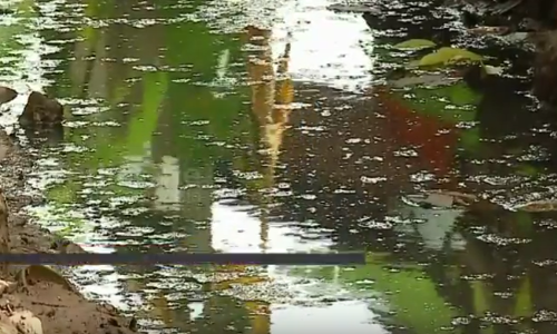 ഇനിയും ഒഴുകിപ്പോകാതെ വെള്ളത്തില്‍ ഒഴുകി വന്ന മാലിന്യങ്ങള്‍: രോഗഭീഷണിയില്‍ കോട്ടയം