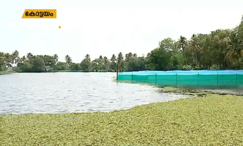 കുമരകത്തെ മത്സ്യകര്‍ഷകര്‍ക്ക് കോടികളുടെ നഷ്ടം