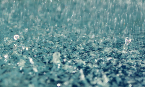 3 ജില്ലകളിലെ വിദ്യാഭ്യാസ സ്ഥാപനങ്ങള്‍ക്ക് വെള്ളിയാഴ്ച അവധി; ചില ജില്ലകളില്‍ ഭാഗികം