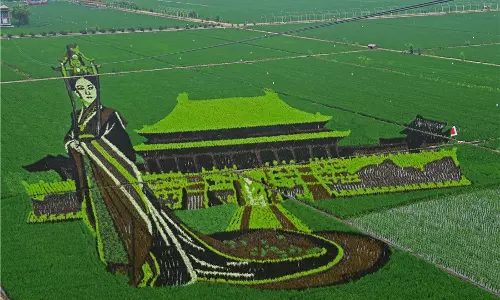 കല്ലിലോ തടിയിലോ അല്ല, ഇത് നെല്‍പ്പാടങ്ങളില്‍ വിരിഞ്ഞ കരവിരുതുകള്‍ 