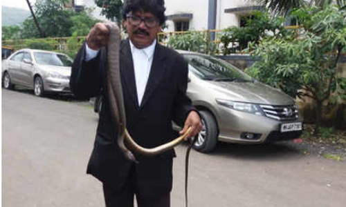 ജഡ്ജിക്ക് കോടതി മുറിയില്‍ വച്ച് പാമ്പുകടിയേറ്റു