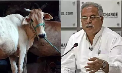 ഒരു കിലോഗ്രാം ചാണകത്തിന് ഒന്നര രൂപ: കോണ്‍ഗ്രസ് പദ്ധതിയെ അഭിനന്ദിച്ച് ആര്‍എസ്എസ്, വിമര്‍ശിച്ച് ബിജെപി