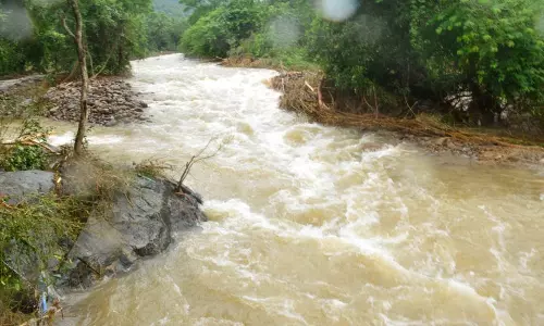 പാലക്കാട് മഴക്ക് നേരിയ ശമനം; രണ്ടു പേരുടെ മൃതദേഹം കണ്ടെത്തി